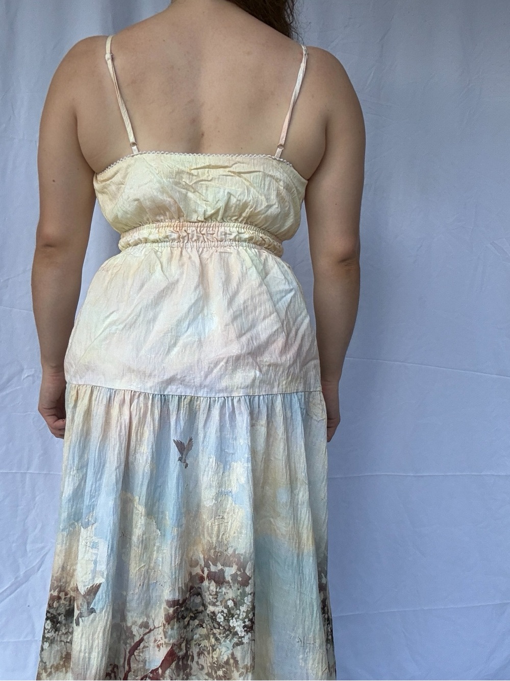 IRIS MAXI Pastoral Scenic Print Maxi Dress M Cottagecore Romantic Empire Waist - Picture 5 of 9